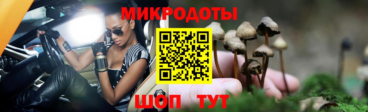 Псилоцибиновые грибы мицелий  Изобильный 