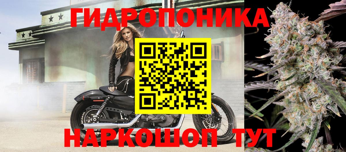 Марихуана сатива Изобильный